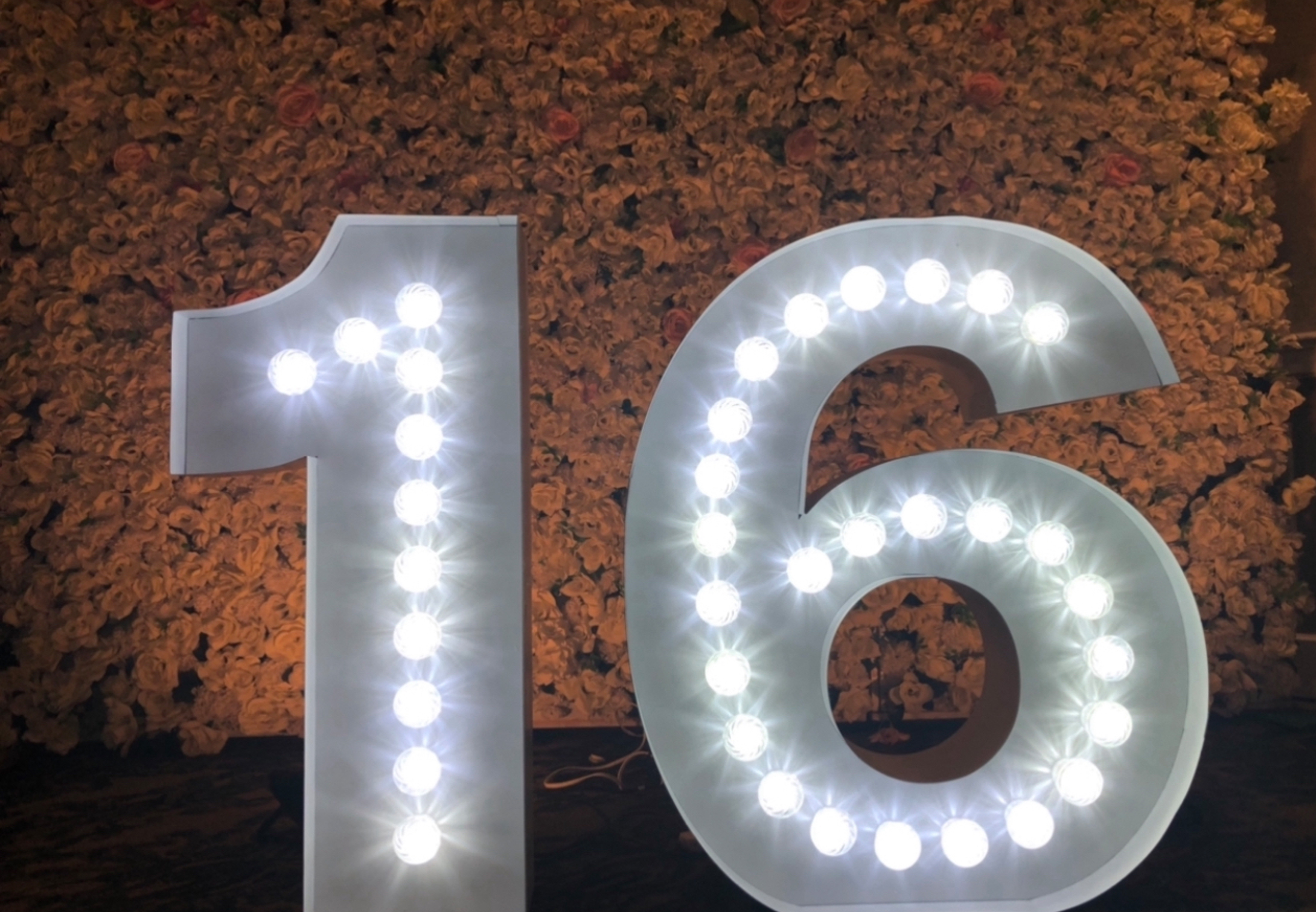 Rent Light Up Numbers Long Island